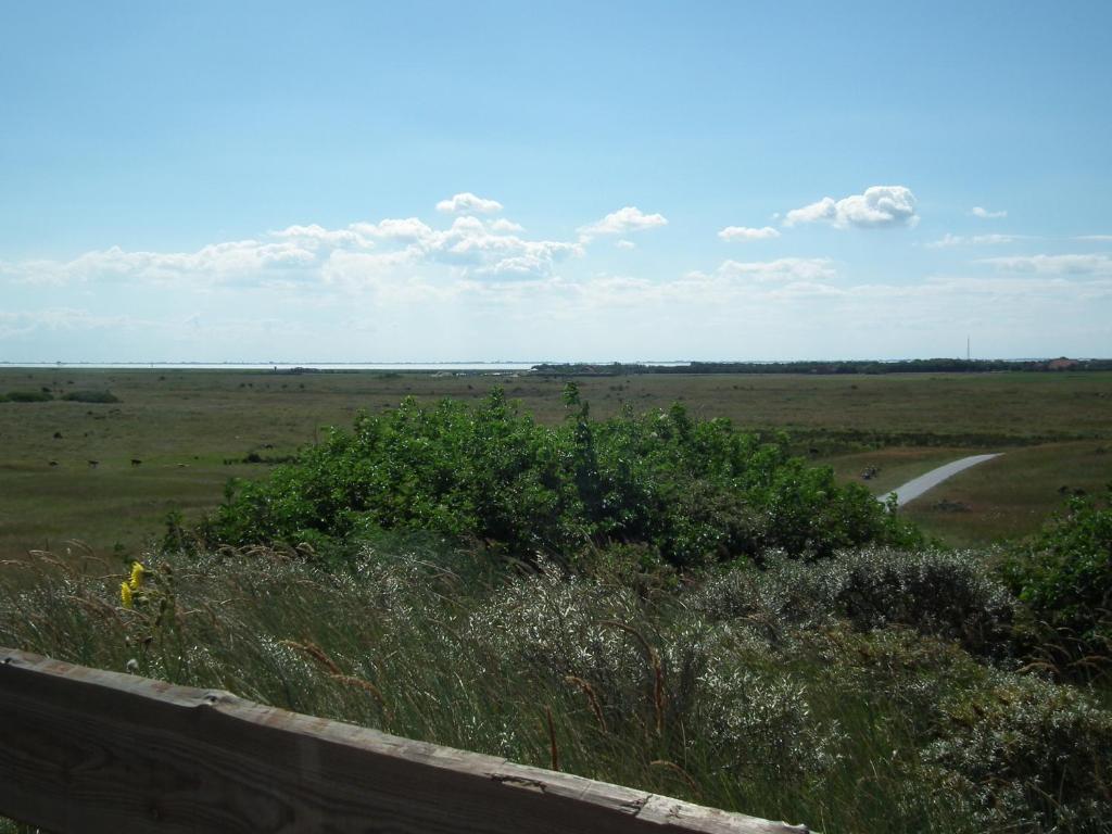 Hollumerduinen Extérieur photo
